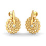 Gold earrings